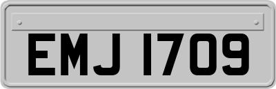 EMJ1709