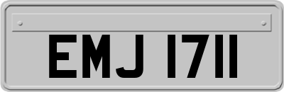 EMJ1711