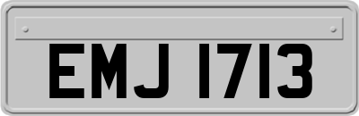 EMJ1713