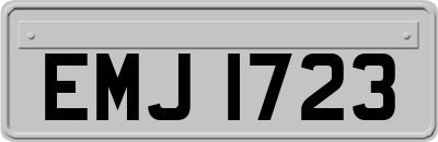 EMJ1723