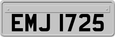 EMJ1725
