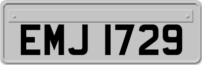 EMJ1729