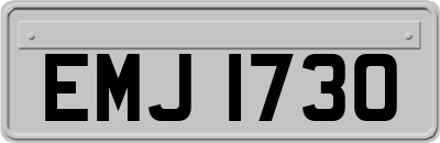 EMJ1730