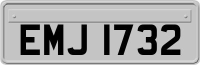EMJ1732