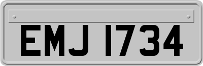 EMJ1734