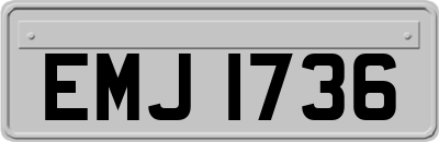 EMJ1736
