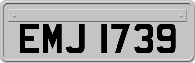 EMJ1739