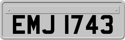 EMJ1743