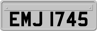 EMJ1745