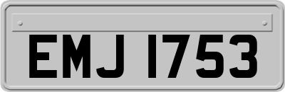 EMJ1753