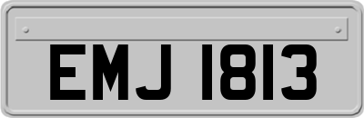 EMJ1813