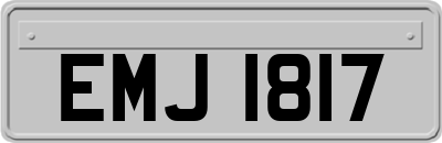 EMJ1817