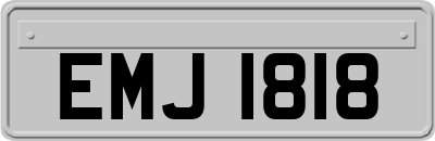 EMJ1818