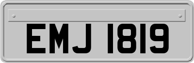EMJ1819