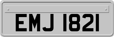 EMJ1821