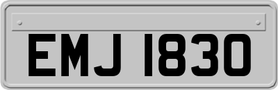 EMJ1830