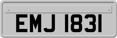 EMJ1831