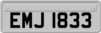 EMJ1833