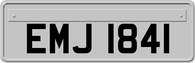 EMJ1841