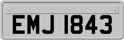 EMJ1843