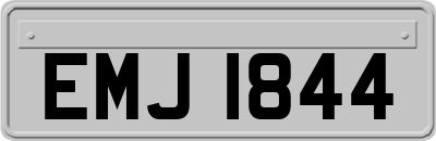 EMJ1844