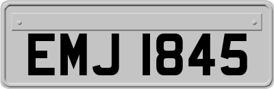 EMJ1845