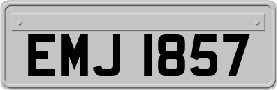 EMJ1857
