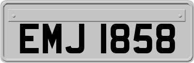 EMJ1858