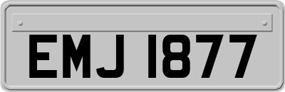 EMJ1877