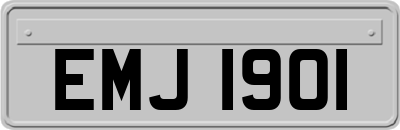 EMJ1901