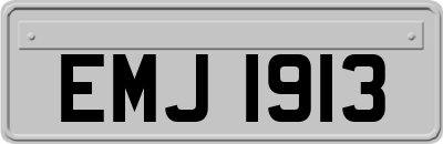 EMJ1913