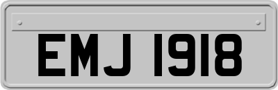 EMJ1918