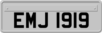EMJ1919