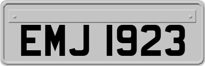 EMJ1923