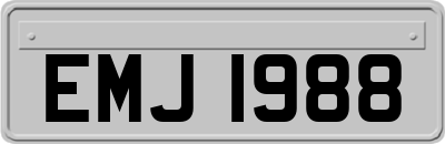 EMJ1988