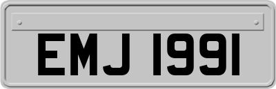 EMJ1991