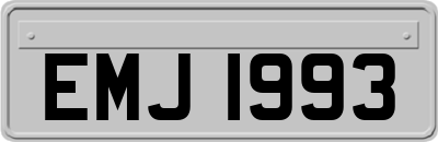 EMJ1993