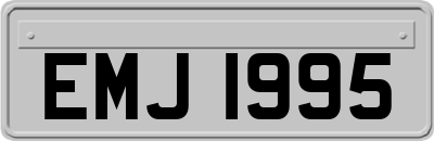 EMJ1995