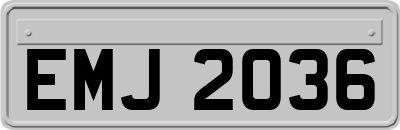 EMJ2036