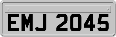 EMJ2045