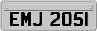 EMJ2051