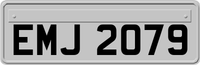 EMJ2079