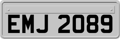 EMJ2089