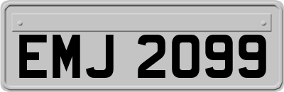 EMJ2099