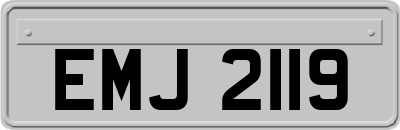 EMJ2119