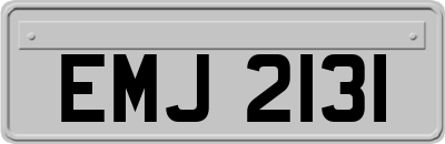 EMJ2131