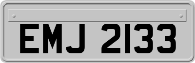 EMJ2133