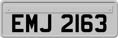 EMJ2163