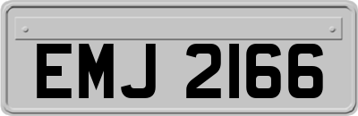 EMJ2166