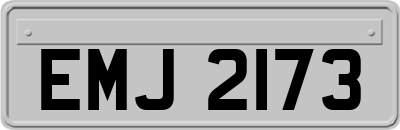 EMJ2173